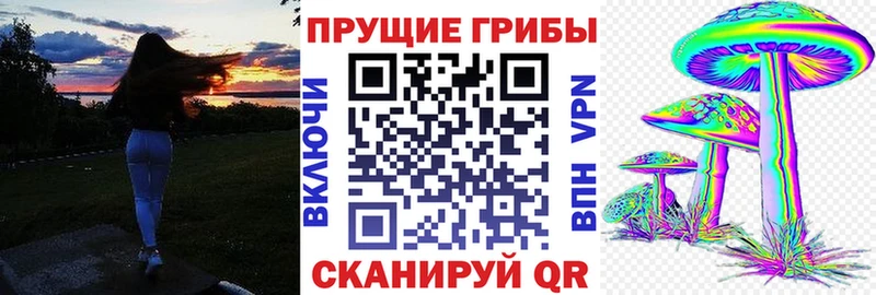 Галлюциногенные грибы прущие грибы наркота блэк спрут Краснодар