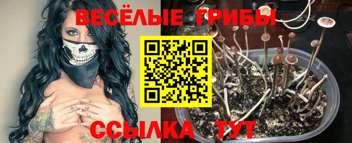 Галлюциногенные грибы мицелий Краснодар